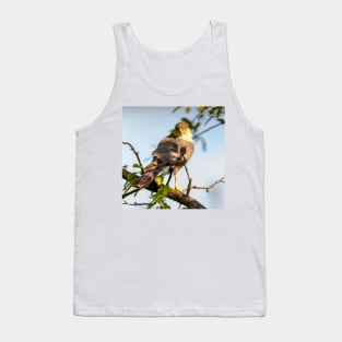 Eurasian sparrowhawk, Accipiter nisus Tank Top